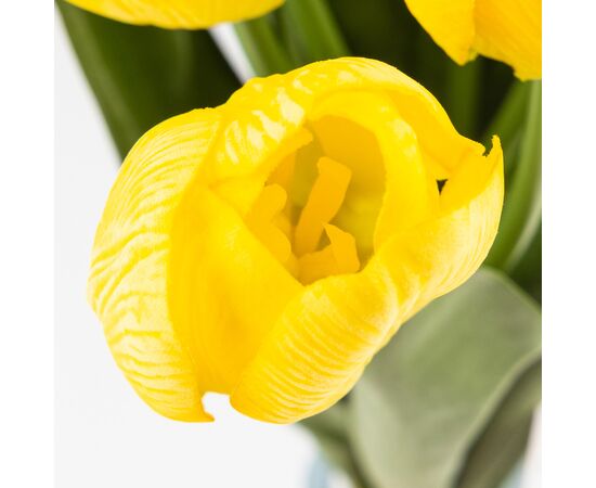 Букет тюльпанов с эффектом живого прикосновения, 9 бутонов, желтый, 45 см, изображение 3 ᐒ купить на  ❤ Like7km.com.ua