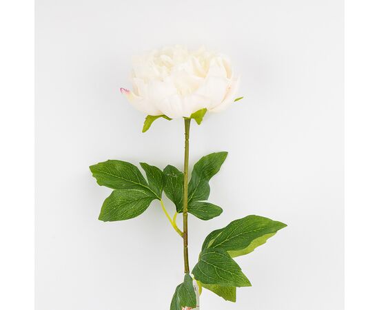 Искусственный пион с эффектом живого прикосновения, белый, 60 см, изображение 2 ᐒ купить на  ❤ Like7km.com.ua