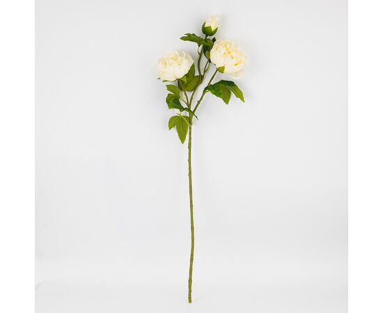 Искусственный пион с 3 бутонами с эффектом живого прикосновения, кремовый, 80 см, изображение 3 ᐒ купить на  ❤ Like7km.com.ua