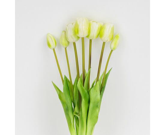 Букет латексных тюльпанов, 7 бутонов, бело-зеленый, 48 см, изображение 2 ᐒ купить на  ❤ Like7km.com.ua