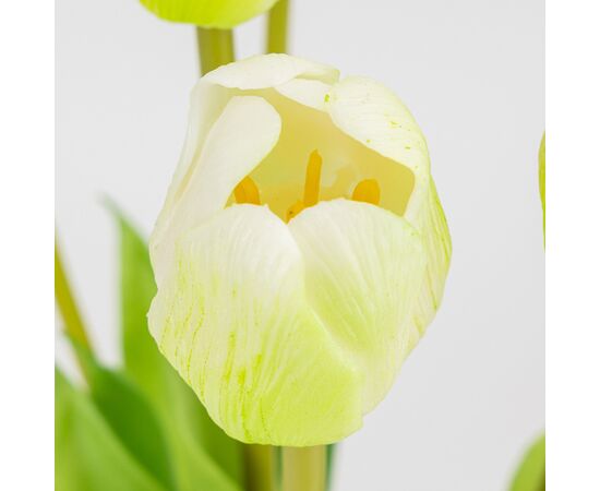Букет латексных тюльпанов, 7 бутонов, бело-зеленый, 48 см, изображение 3 ᐒ купить на  ❤ Like7km.com.ua