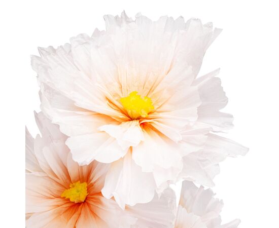 Большие ростовые декоративные цветы на стойке, бело-оранжевые, 165 см, изображение 3 ᐒ купить на  ❤ Like7km.com.ua