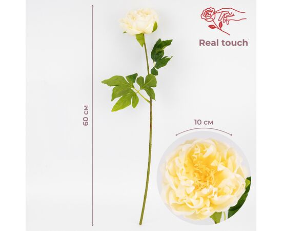 Искусственный пион с эффектом живого прикосновения, кремовый, 60 см, изображение 4 ᐒ купить на  ❤ Like7km.com.ua