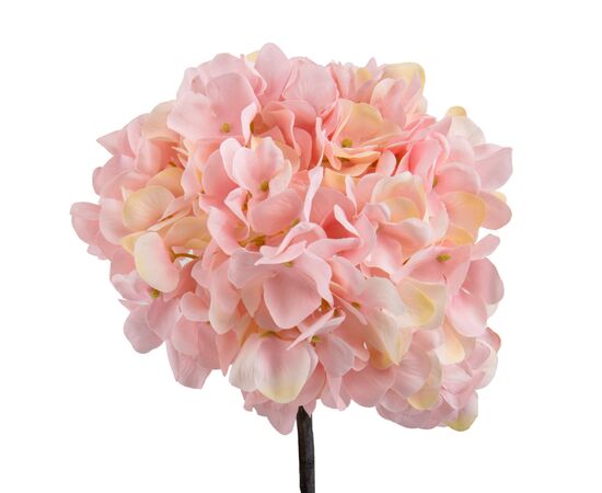 Гортензия "Анисия", розовая, 42 см, изображение 2 ᐒ купить на  ❤ Like7km.com.ua