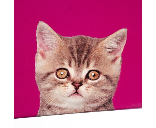 Набор коробок "Кошкин дом" 3шт, изображение 3 ᐒ купить на  ❤ Like7km.com.ua