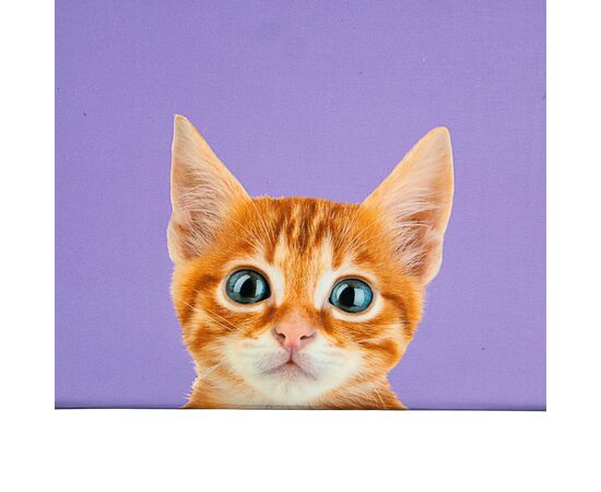 Набор коробок "Умиротворение" 3 шт, изображение 2 ᐒ купить на  ❤ Like7km.com.ua