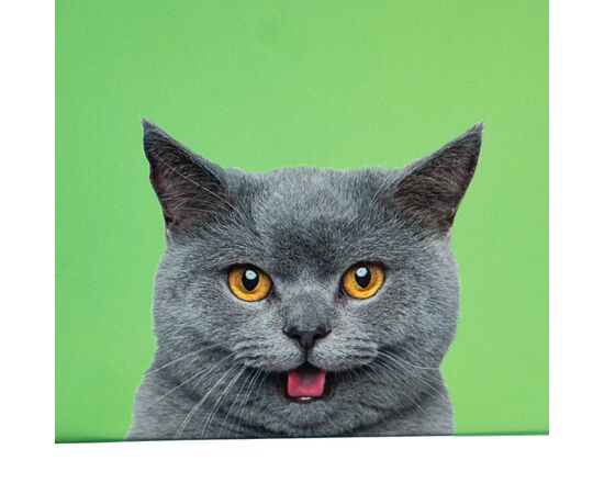 Набор коробок "Умиротворение" 3 шт, изображение 3 ᐒ купить на  ❤ Like7km.com.ua