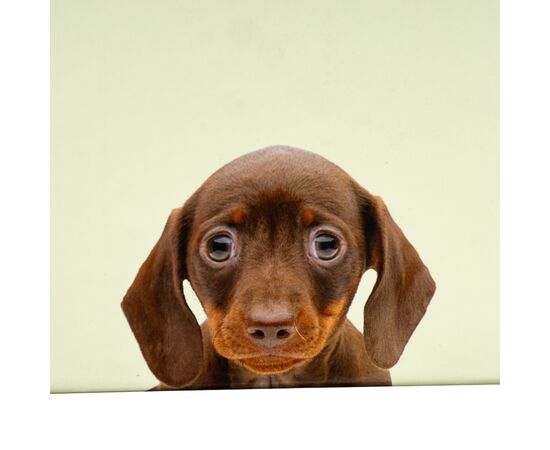 Набор коробок "Друг детства" 3 шт, изображение 2 ᐒ купить на  ❤ Like7km.com.ua