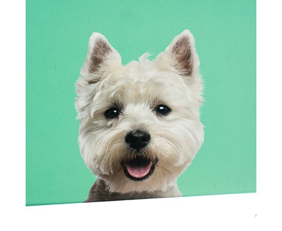 Набор коробок "Друг детства" 3 шт, изображение 4 ᐒ купить на  ❤ Like7km.com.ua