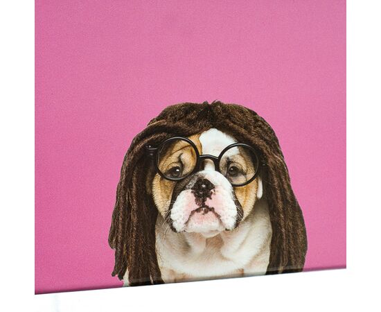 Набор коробок "Веселая компания" 3 шт, изображение 2 ᐒ купить на  ❤ Like7km.com.ua