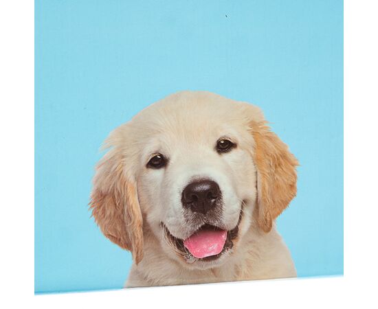 Набор коробок "Преданность" 3 шт, изображение 4 ᐒ купить на  ❤ Like7km.com.ua