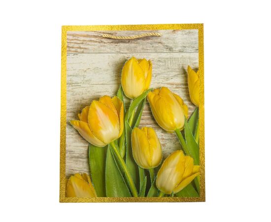 Подарочный пакет "Тюльпаны", 26*32 см, изображение 3 ᐒ купить на  ❤ Like7km.com.ua