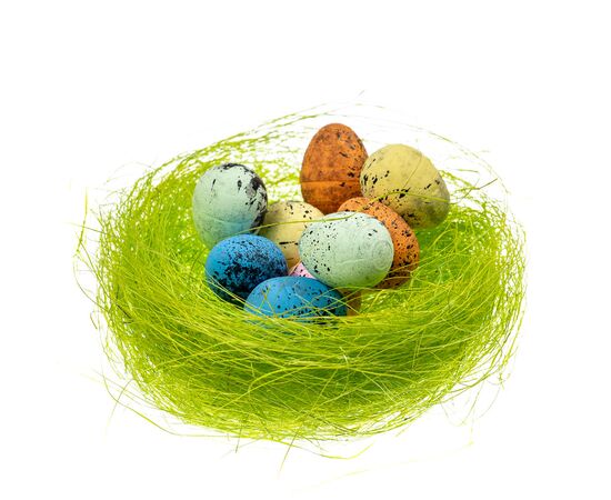 Декоративное гнездо *рандомный выбор дизайна, изображение 4 ᐒ купить на  ❤ Like7km.com.ua