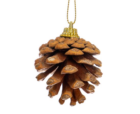 Декор "Сосновые шишки", изображение 2 ᐒ купить на  ❤ Like7km.com.ua
