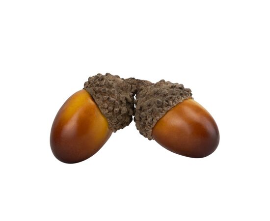 Набор декоративных желудей "Осенний уют", 50 шт, 3 см, изображение 3 ᐒ купить на  ❤ Like7km.com.ua