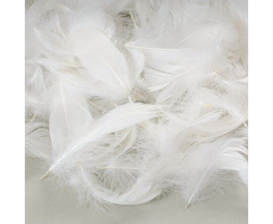 Наполнитель  "Жар-птица" *рандомный выбор цвета, изображение 9 ᐒ купить на  ❤ Like7km.com.ua