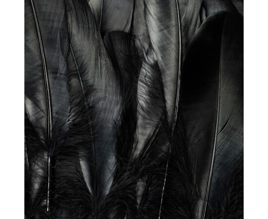 Декоративные перья, синие YOO-HOO!, изображение 5 ᐒ купить на  ❤ Like7km.com.ua