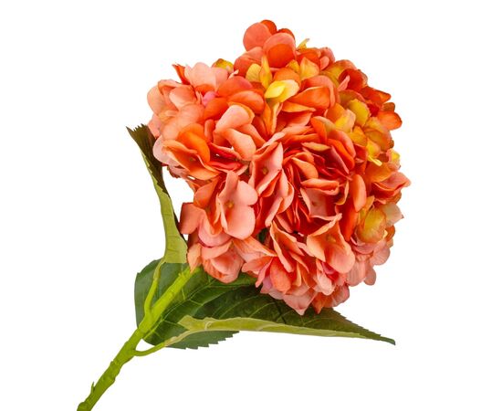 Гортензия "Анабель", оранжевая, 57 см, изображение 2 ᐒ купить на  ❤ Like7km.com.ua
