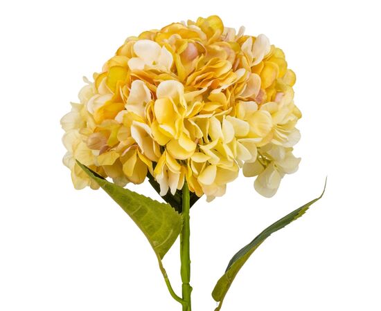 Гортензия "Анабель", желтая, 57 см, изображение 2 ᐒ купить на  ❤ Like7km.com.ua