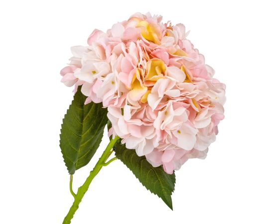 Гортензия "Анабель", розовая, 57 см, изображение 2 ᐒ купить на  ❤ Like7km.com.ua