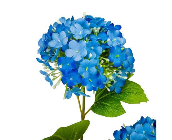 Гортензия "Аура", голубая, 80 см, изображение 3 ᐒ купить на  ❤ Like7km.com.ua