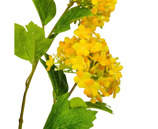 Гортензия "Аура", желтая, 80 см, изображение 2 ᐒ купить на  ❤ Like7km.com.ua