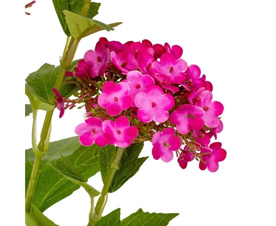 Гортензия "Магнит", розовая, 70 см, изображение 3 ᐒ купить на  ❤ Like7km.com.ua