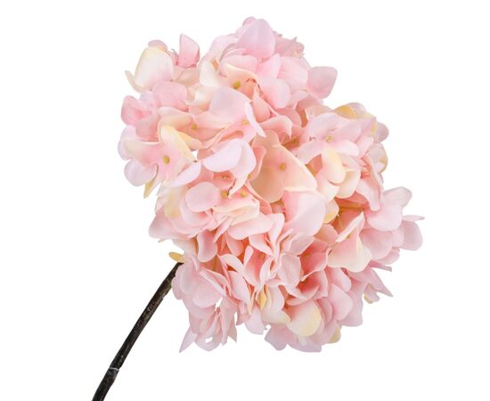 Гортензия "Анабель", розовая, 43 см, изображение 3 ᐒ купить на  ❤ Like7km.com.ua