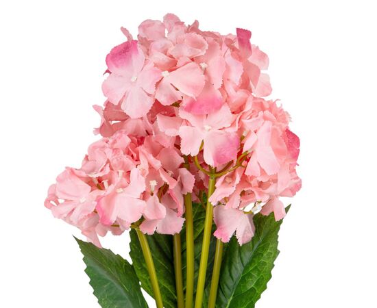 Букет гортензий, 5 бутонов, розовый, 52 см, изображение 3 ᐒ купить на  ❤ Like7km.com.ua