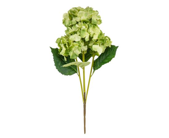 Букет гортензий, 5 бутонов, зеленый, 52 см, изображение 2 ᐒ купить на  ❤ Like7km.com.ua