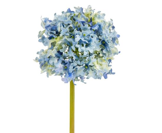 Цветок  "Гортензия шаровидная" синяя, изображение 2 ᐒ купить на  ❤ Like7km.com.ua