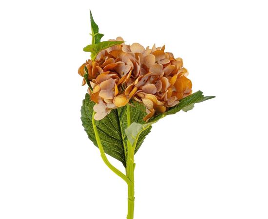 Букет "Гортензия крупнолистная" охра, изображение 2 ᐒ купить на  ❤ Like7km.com.ua