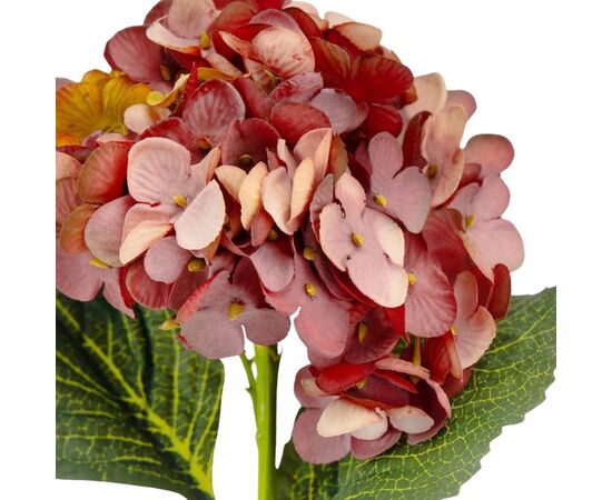 Букет "Гортензия крупнолистная" бордо, изображение 3 ᐒ купить на  ❤ Like7km.com.ua