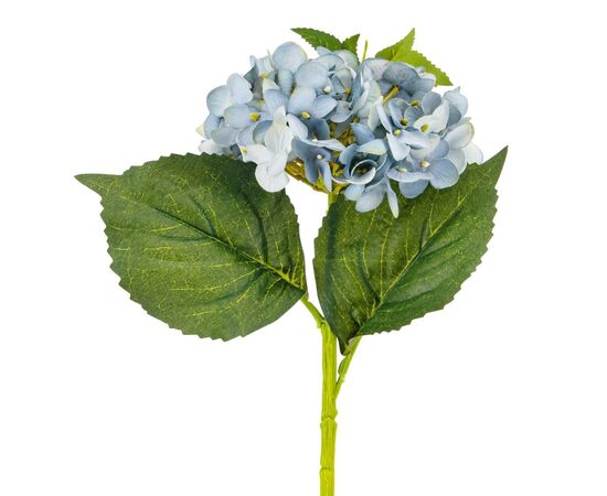 Букет "Гортензия крупнолистная" аква, изображение 2 ᐒ купить на  ❤ Like7km.com.ua