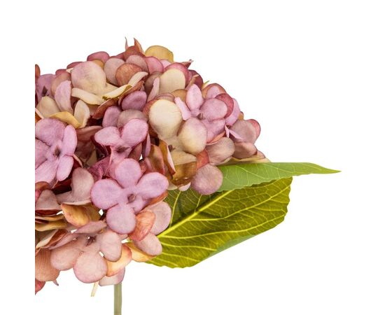 Цветы "Гортензия пастельная", изображение 3 ᐒ купить на  ❤ Like7km.com.ua