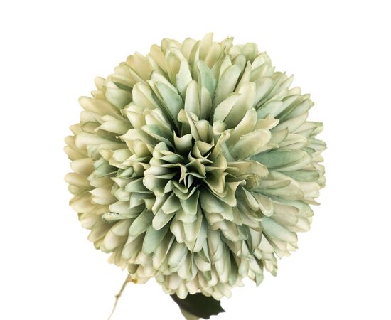 Цветок "Хризантема зелёная", изображение 2 ᐒ купить на  ❤ Like7km.com.ua