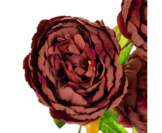 Букет "Пион с 3 -мя бутонами" бордовый, изображение 2 ᐒ купить на  ❤ Like7km.com.ua