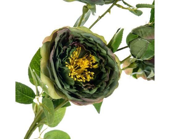 Букет "Полевые пионы зеленые", изображение 2 ᐒ купить на  ❤ Like7km.com.ua