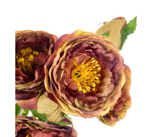 Букет "Полевые пионы светло-розовые", изображение 2 ᐒ купить на  ❤ Like7km.com.ua