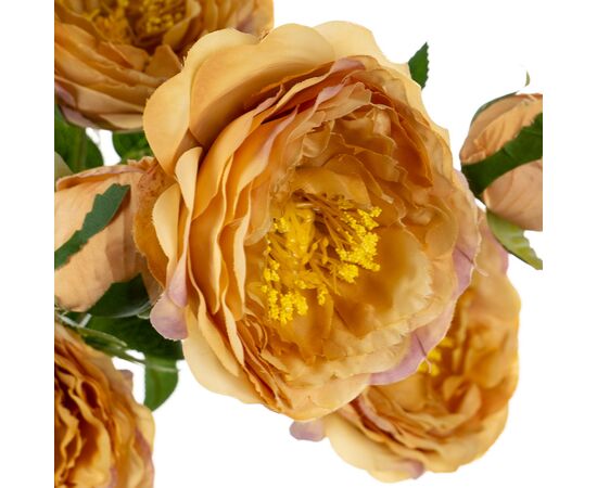 Букет "Полевые пионы оранжевые", изображение 2 ᐒ купить на  ❤ Like7km.com.ua