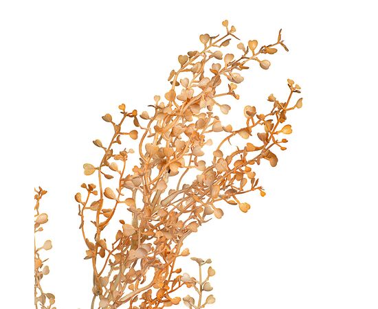 Куст пастушьей сумки медный крайола  искусственный, изображение 2 ᐒ купить на  ❤ Like7km.com.ua