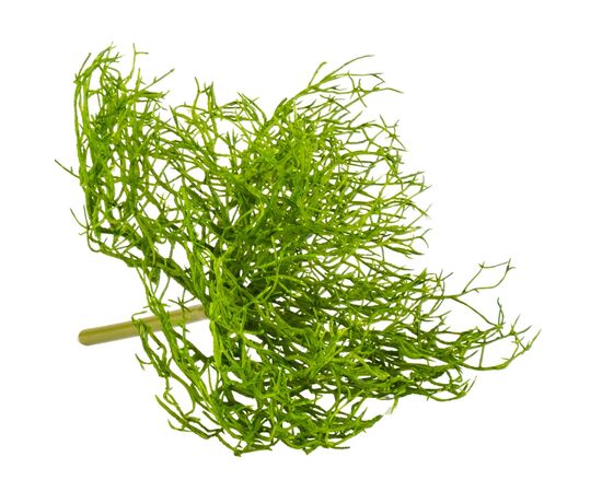 Каркас для букета (пластик, 30 см), изображение 3 ᐒ купить на  ❤ Like7km.com.ua