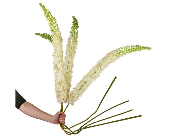 Дельфиниум (150 см), изображение 3 ᐒ купить на  ❤ Like7km.com.ua