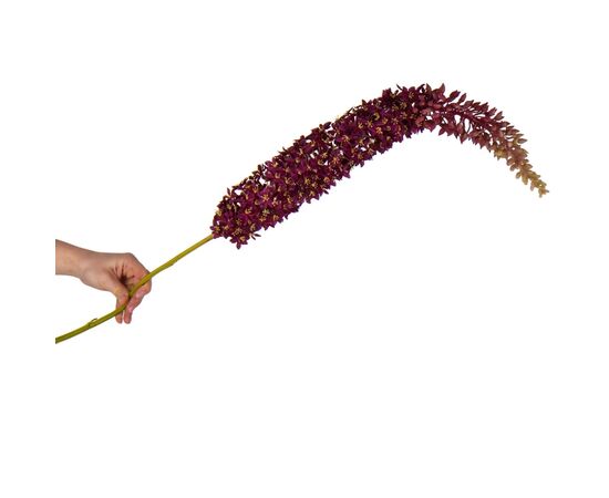 Дельфиниум (150 см), изображение 2 ᐒ купить на  ❤ Like7km.com.ua