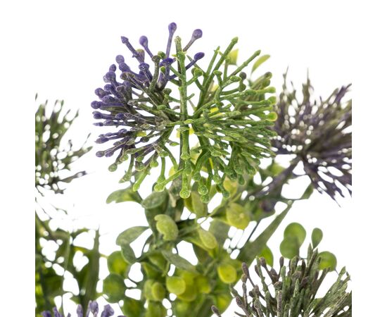 Цветок Аллиум фиолетовый, изображение 2 ᐒ купить на  ❤ Like7km.com.ua