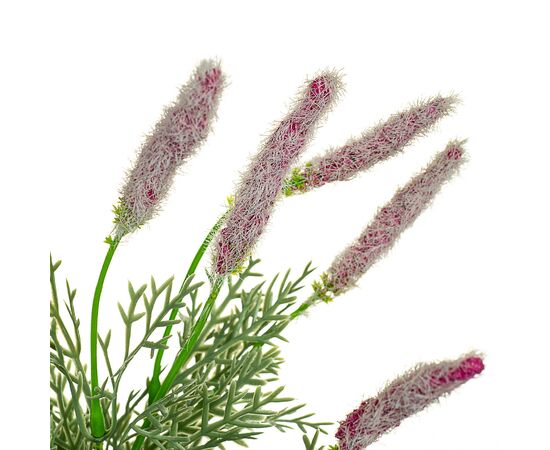 Декоративная веточка, фиолетовая, изображение 2 ᐒ купить на  ❤ Like7km.com.ua