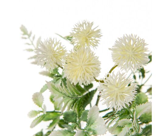 Букет Астры, белый, изображение 2 ᐒ купить на  ❤ Like7km.com.ua