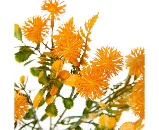 Букет Астры, оранжевый, изображение 2 ᐒ купить на  ❤ Like7km.com.ua