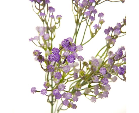 Искусственная зелень, фиолетовая, изображение 2 ᐒ купить на  ❤ Like7km.com.ua
