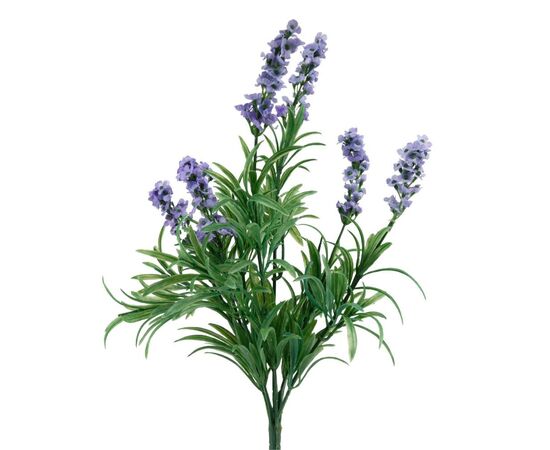 Лаванда (38 см), изображение 2 ᐒ купить на  ❤ Like7km.com.ua